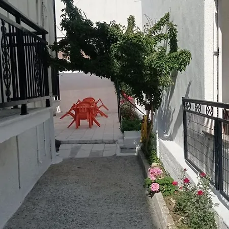 Arleta's Sunny 3* Prínos