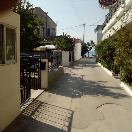 Arleta's Sunny Принос