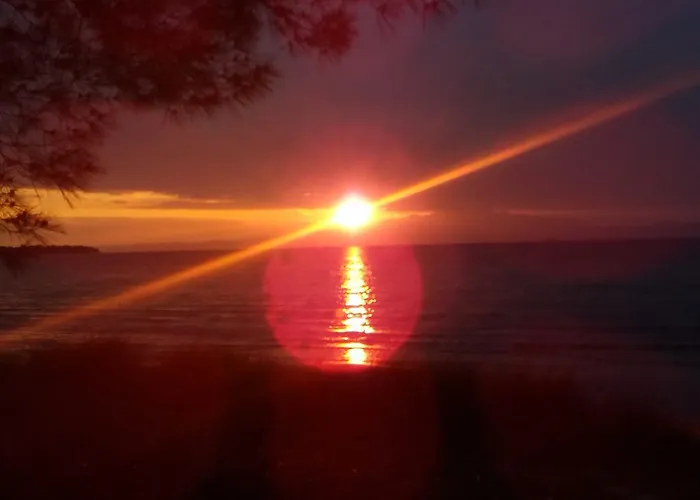 Guest house Arleta's Sunny